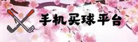 2026全新 · 手机买世界杯中文站 · 安全开户通道